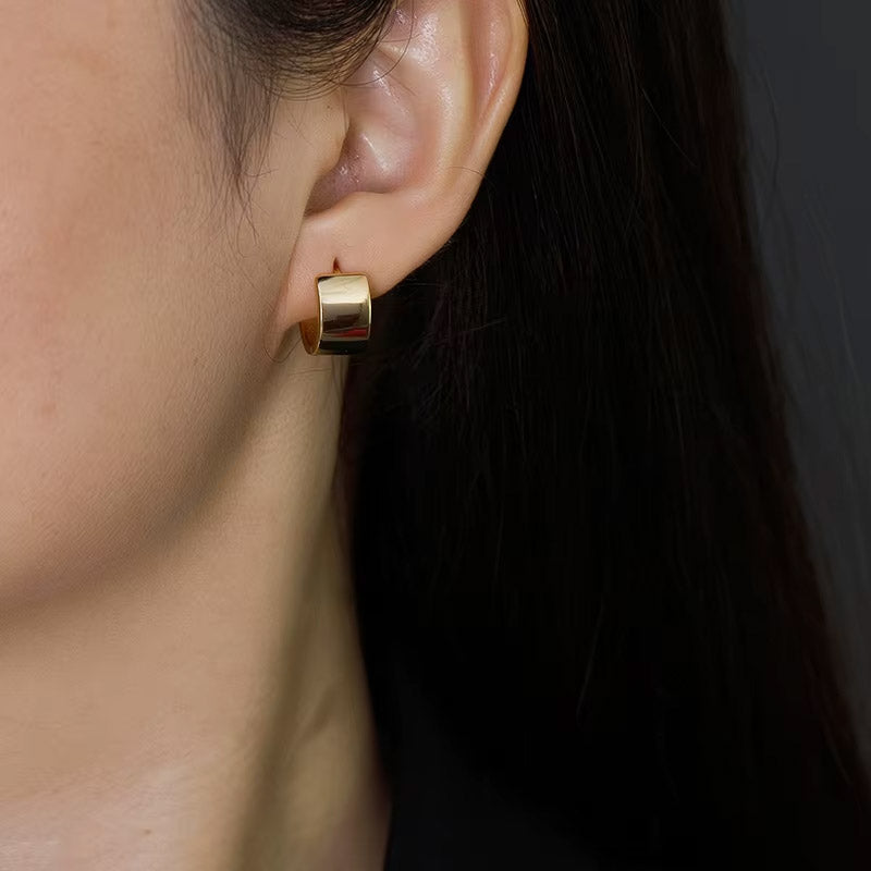 Earrings Aska