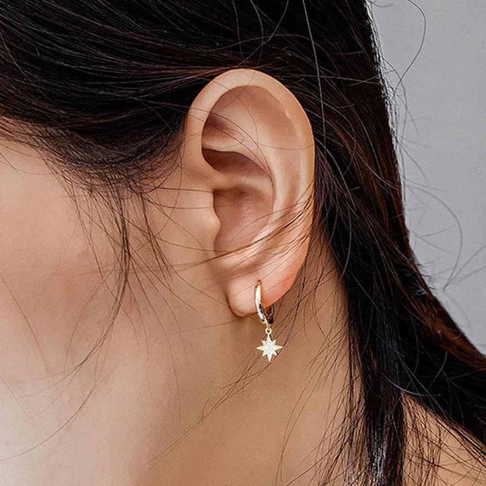 Earrings Brightness