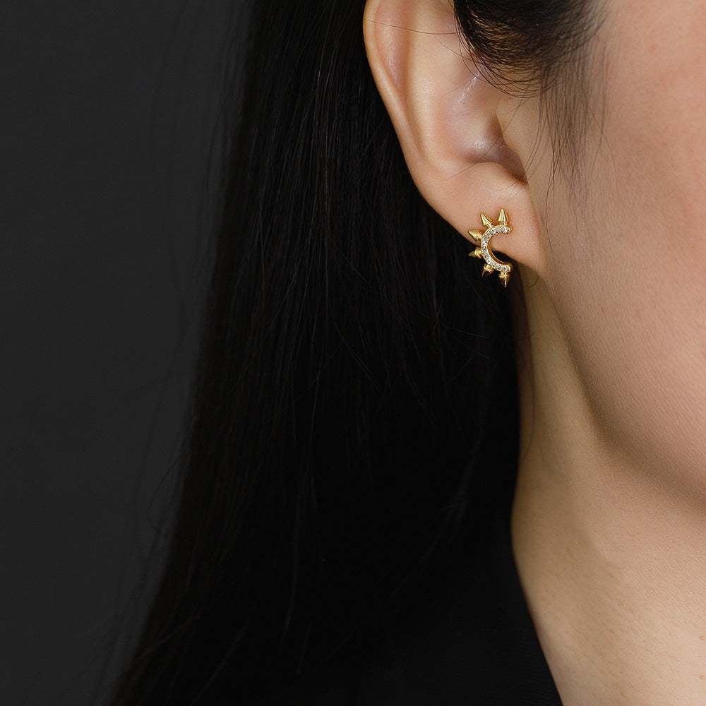 Earrings Fierce Flair