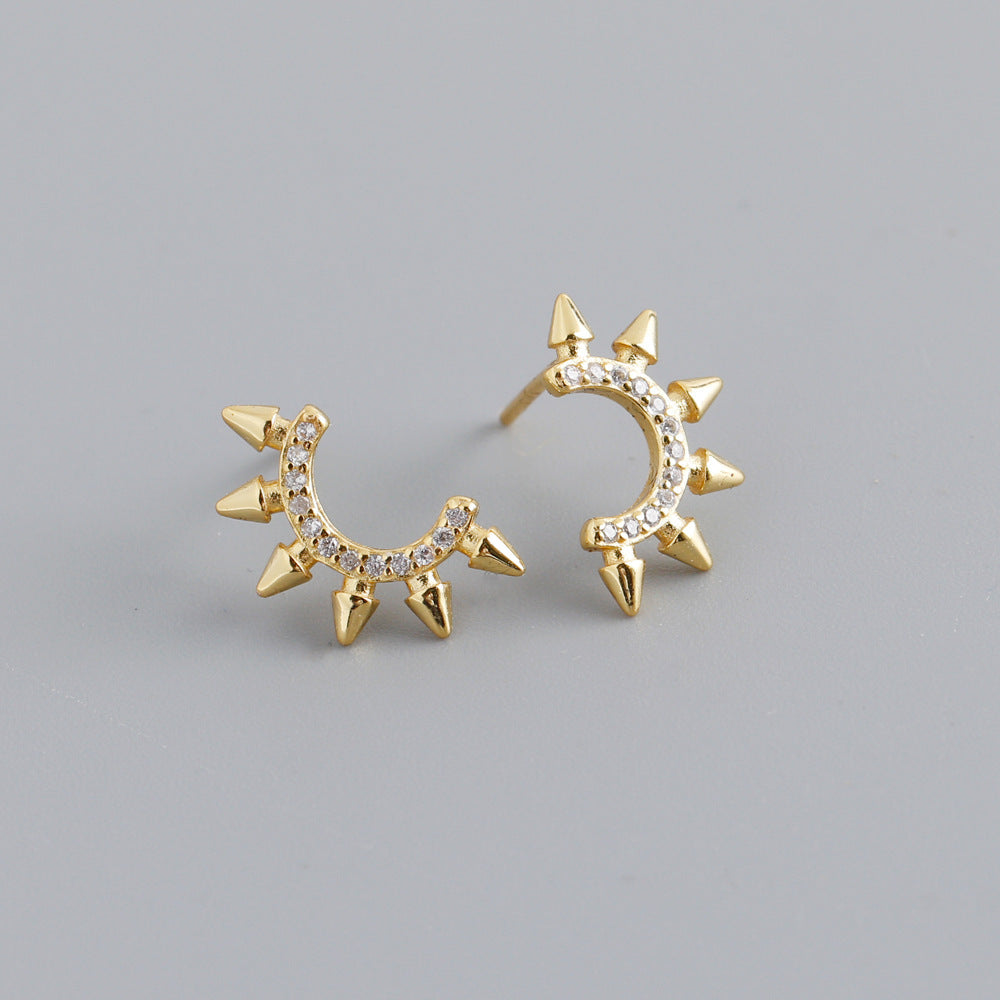 Earrings Fierce Flair