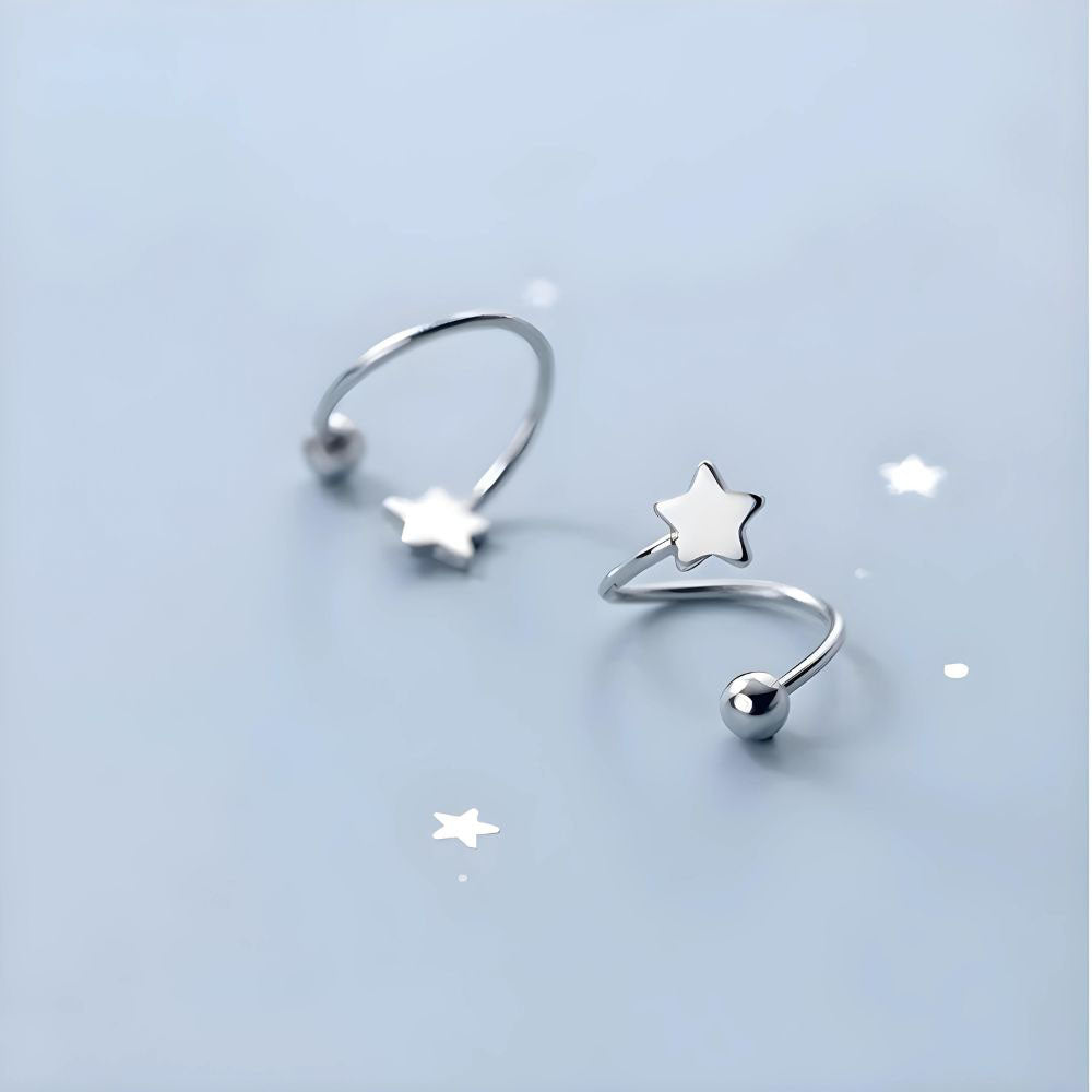 Earrings Twisted Heart & Star